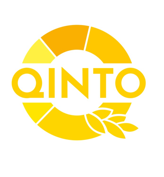 QINTO LOGO